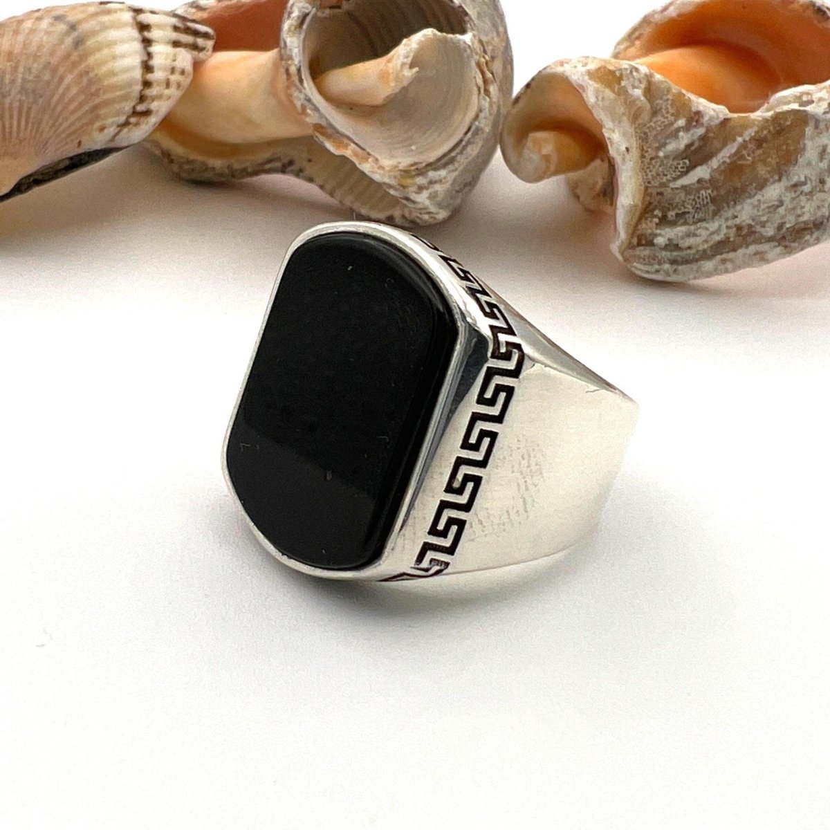 Men's Black Onyx Silver Ring - TryAladdin